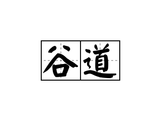 谷道 - 谷道的意思