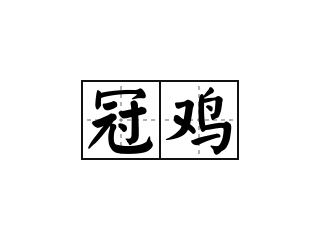 冠鸡 - 冠鸡的意思