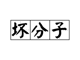 坏分子 - 坏分子的意思