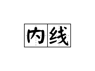 内线 - 内线的意思