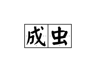 成虫 - 成虫的意思