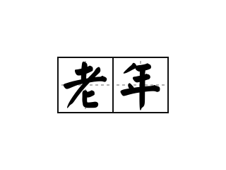 老年 - 老年的意思