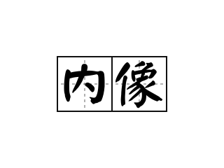 内像 - 内像的意思