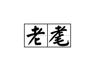 老耄 - 老耄的意思