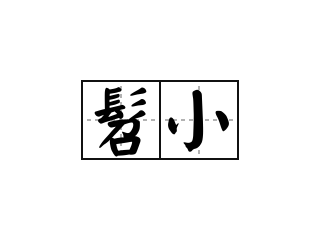 髫小 - 髫小的意思