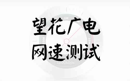 望花广电网速测试
