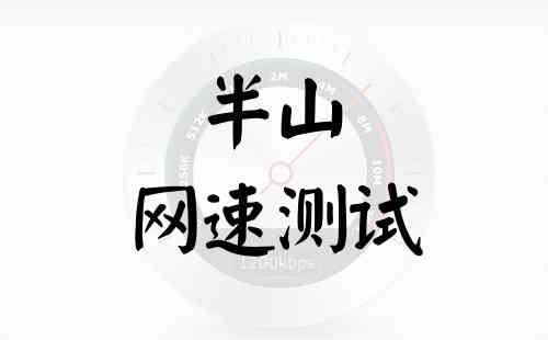 半山网速测试