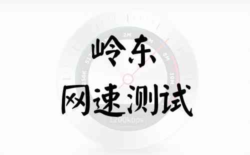 岭东网速测试
