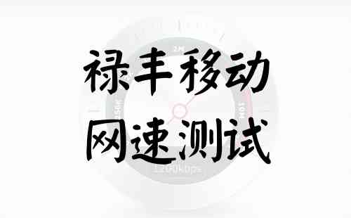 禄丰移动网速测试